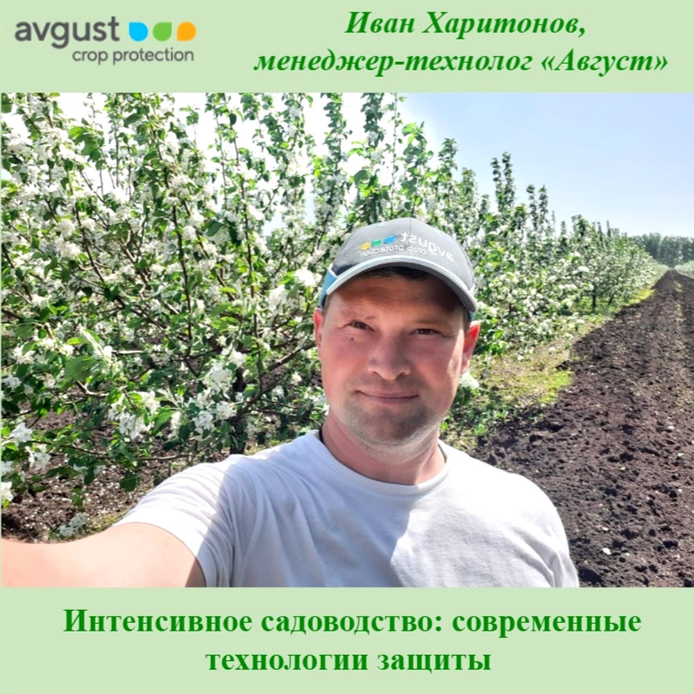  От первых ростков – до умного сада: на Агрополигоне «Владимировский сад» эксперты поделятся самой важной для садоводов информацией