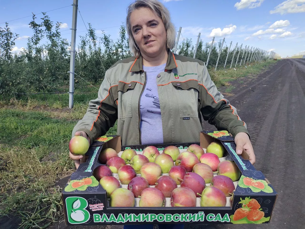 Яблоки оптом от производител