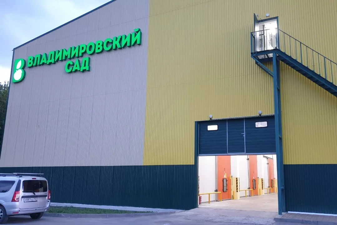 Способы и правила хранения яблок Способы и правила хранения яблок