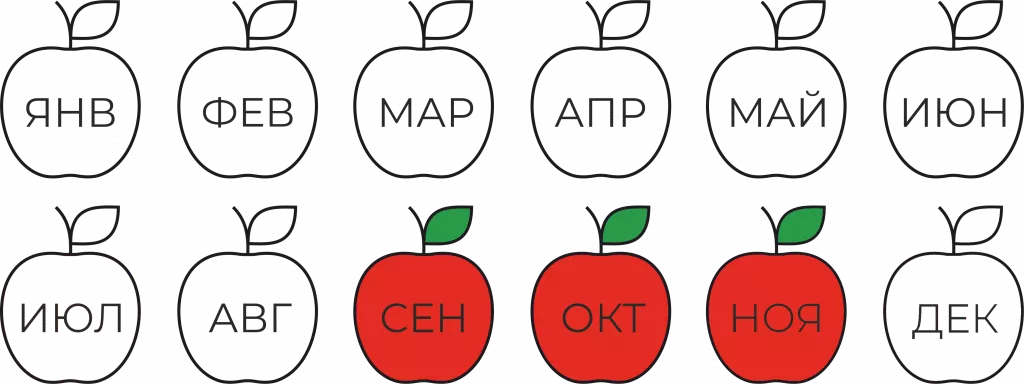 Хоней крисп созревание.png
