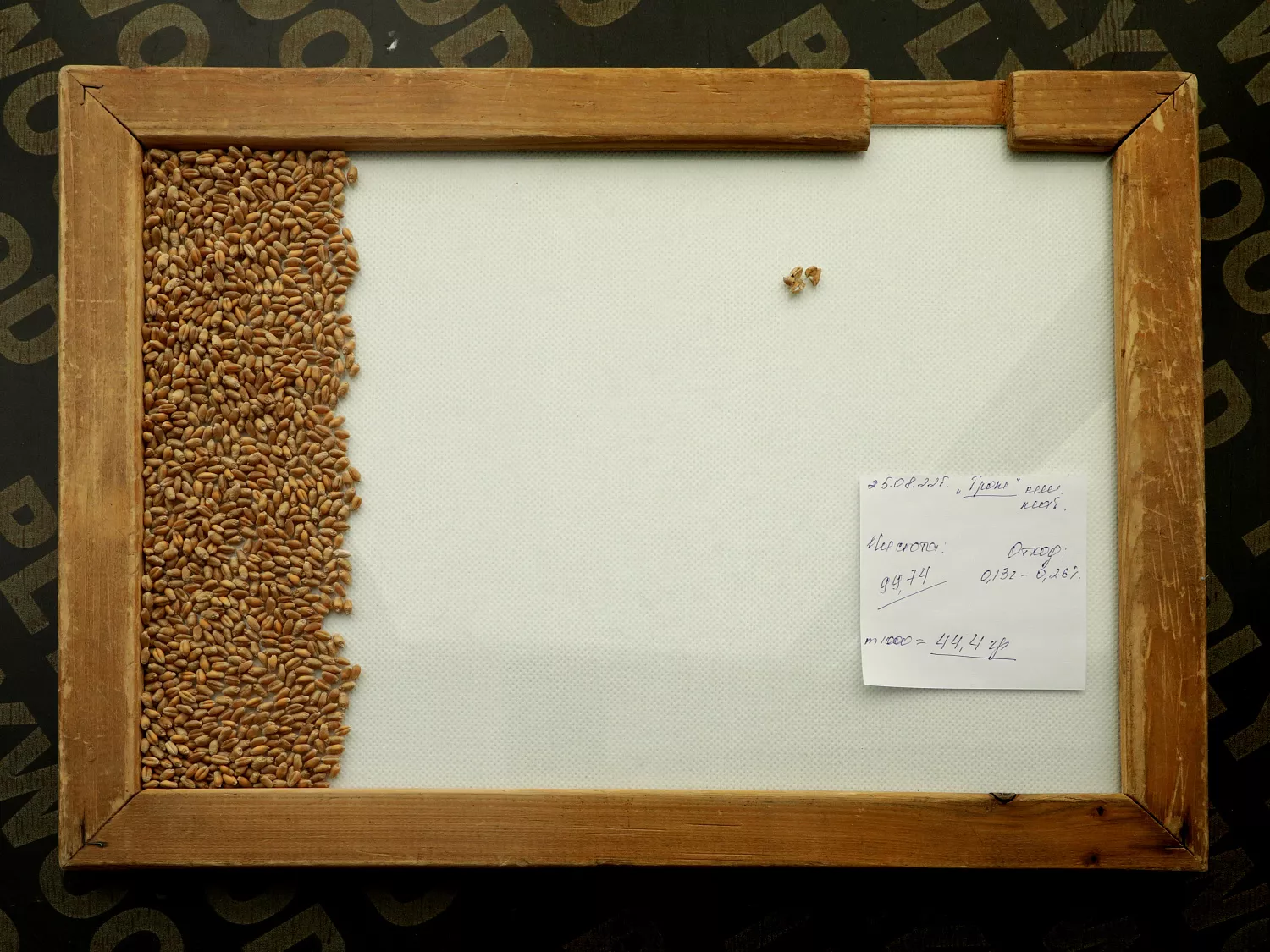 В лаборатории «Пчёлки» внимательно следят за качеством зерна